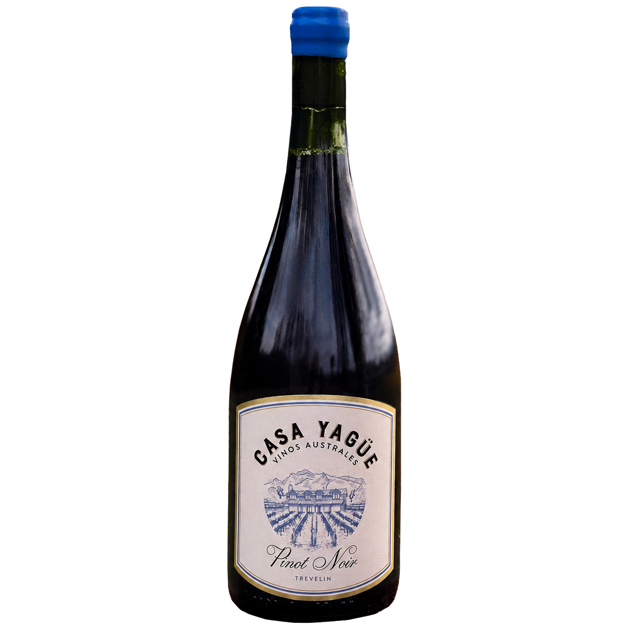 Casa Yagüe Pinot Noir 2024